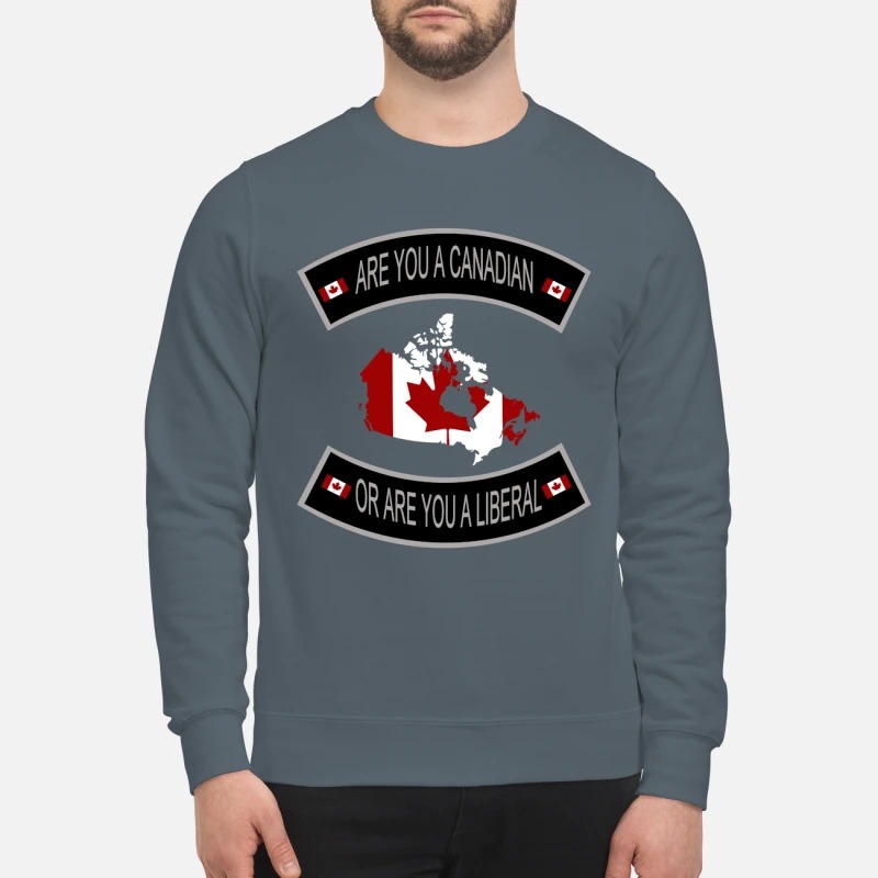 Are you a Canadian or are you a Liberal sweatshirt