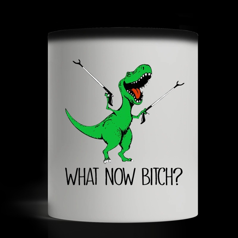 Dinosaur what now bitch magic mug