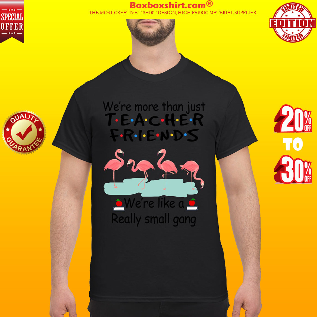 Flamingos We are more than just teacher friends we're like a small gang classic shirt