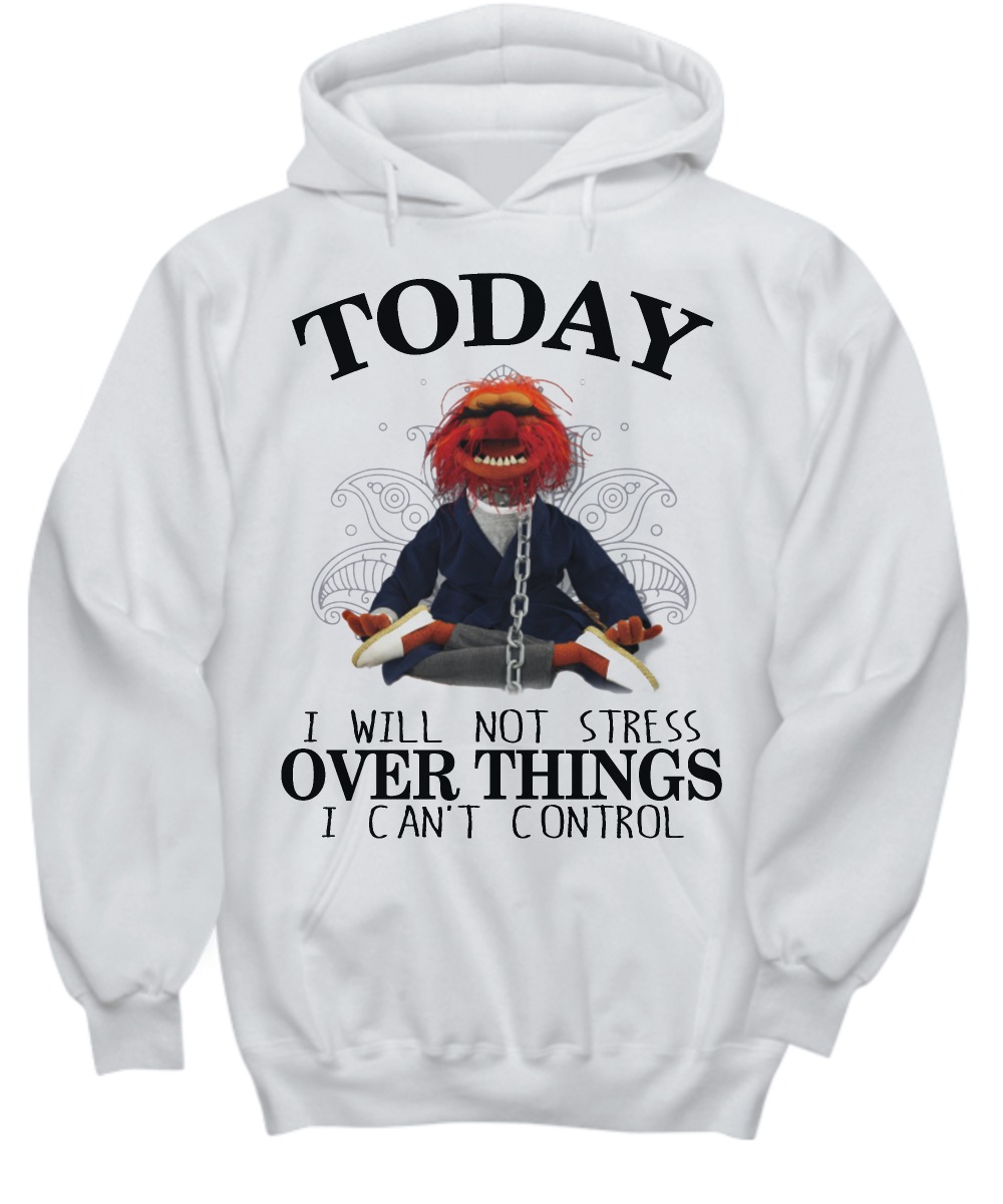 Muppet today I will not stress over thing I can't control shirt and hoodie