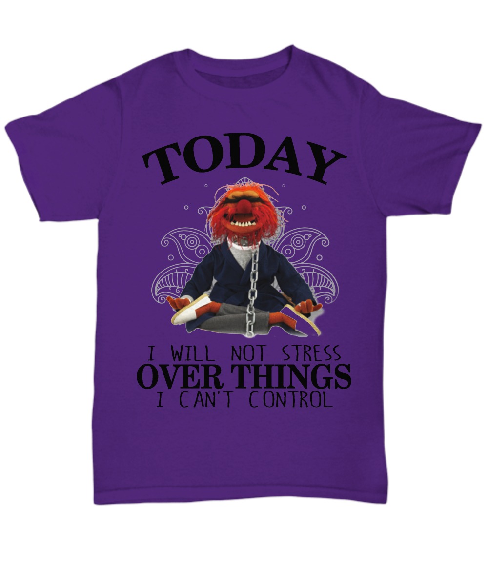Muppet today I will not stress over thing I can't control unisex tee shirt