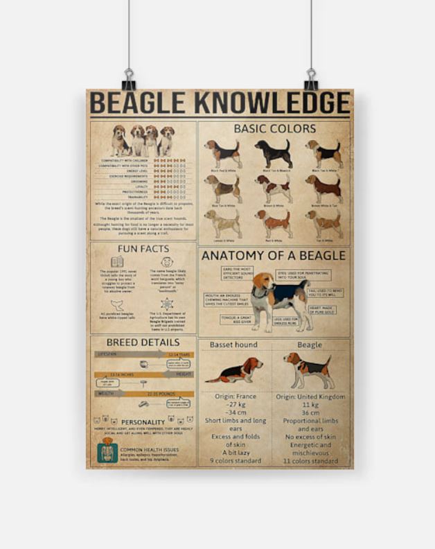 Beagle knowledge poster 3