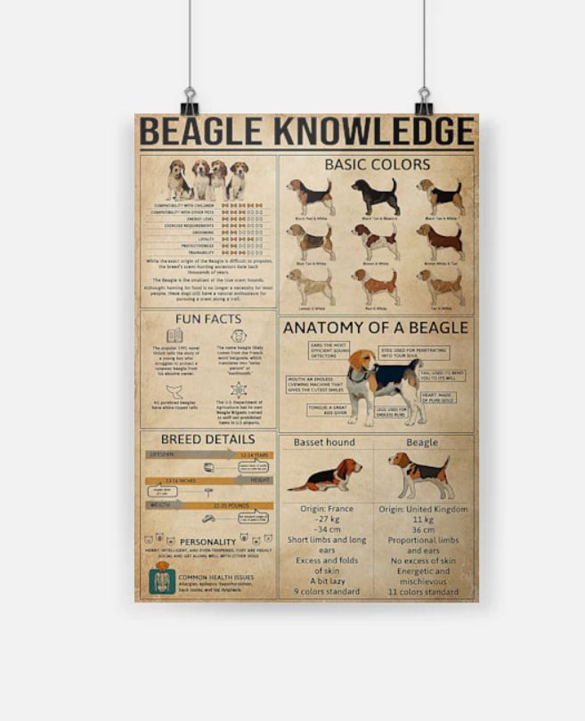 Beagle knowledge poster 3