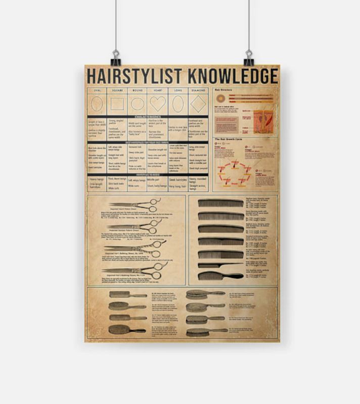 Hairstylist knowledge poster 4