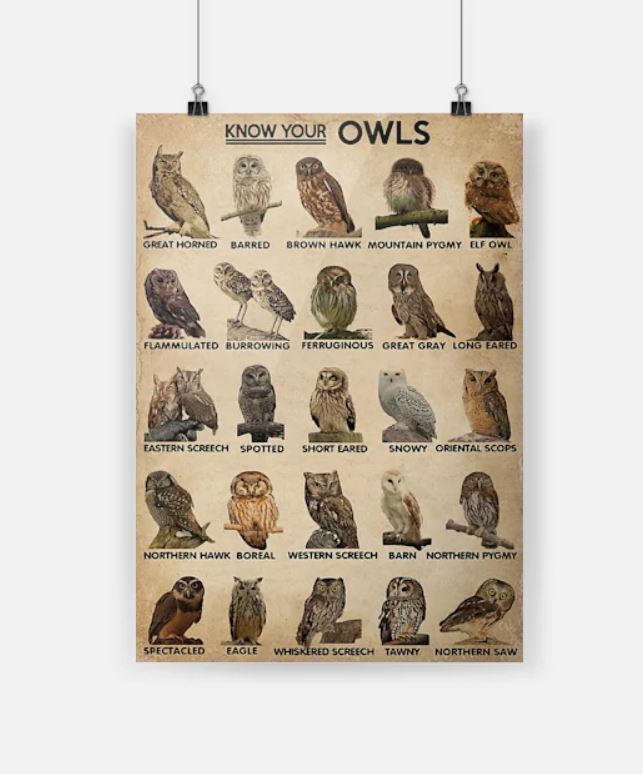 Know your owls poster 4