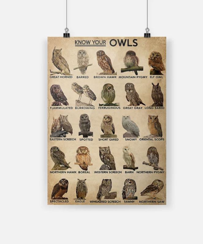 Know your owls poster 3