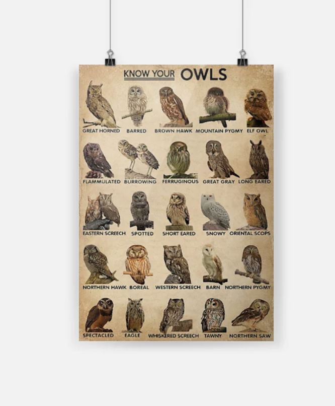 Know your owls poster 3