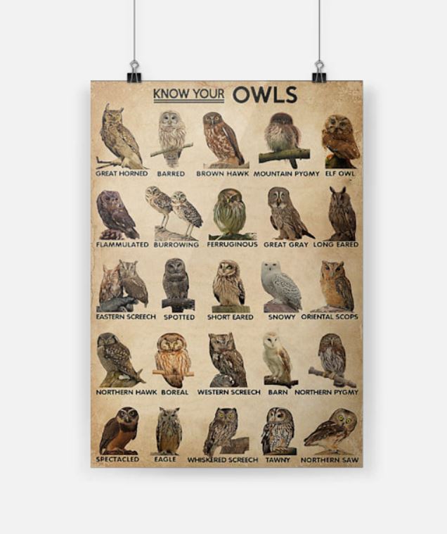 Know your owls poster 2