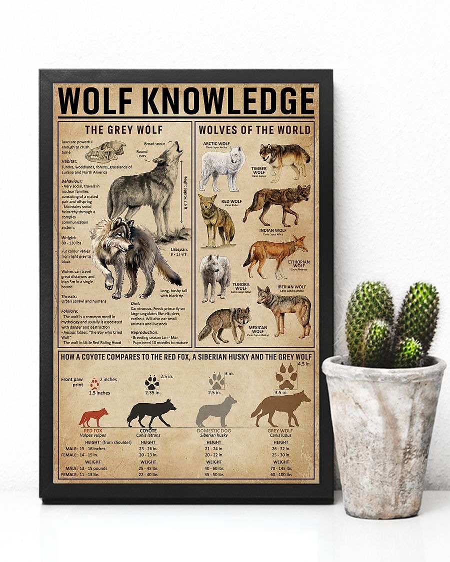 Wolf knowledge poster 3