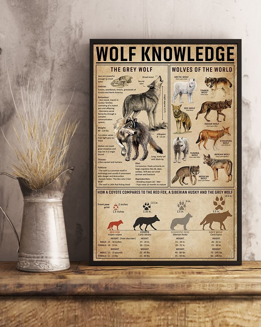 Wolf knowledge poster 2