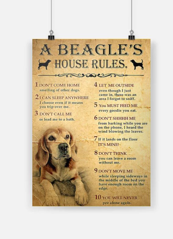 A beagle house rules poster 7