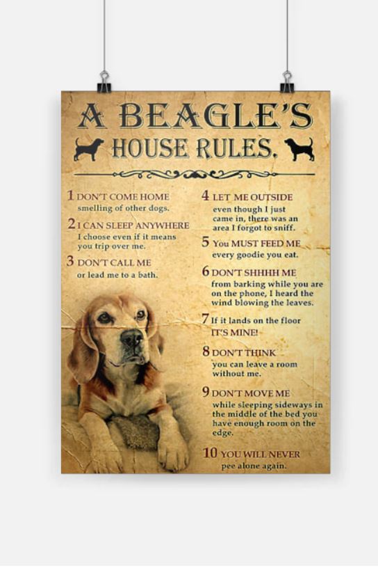 A beagle house rules poster 6