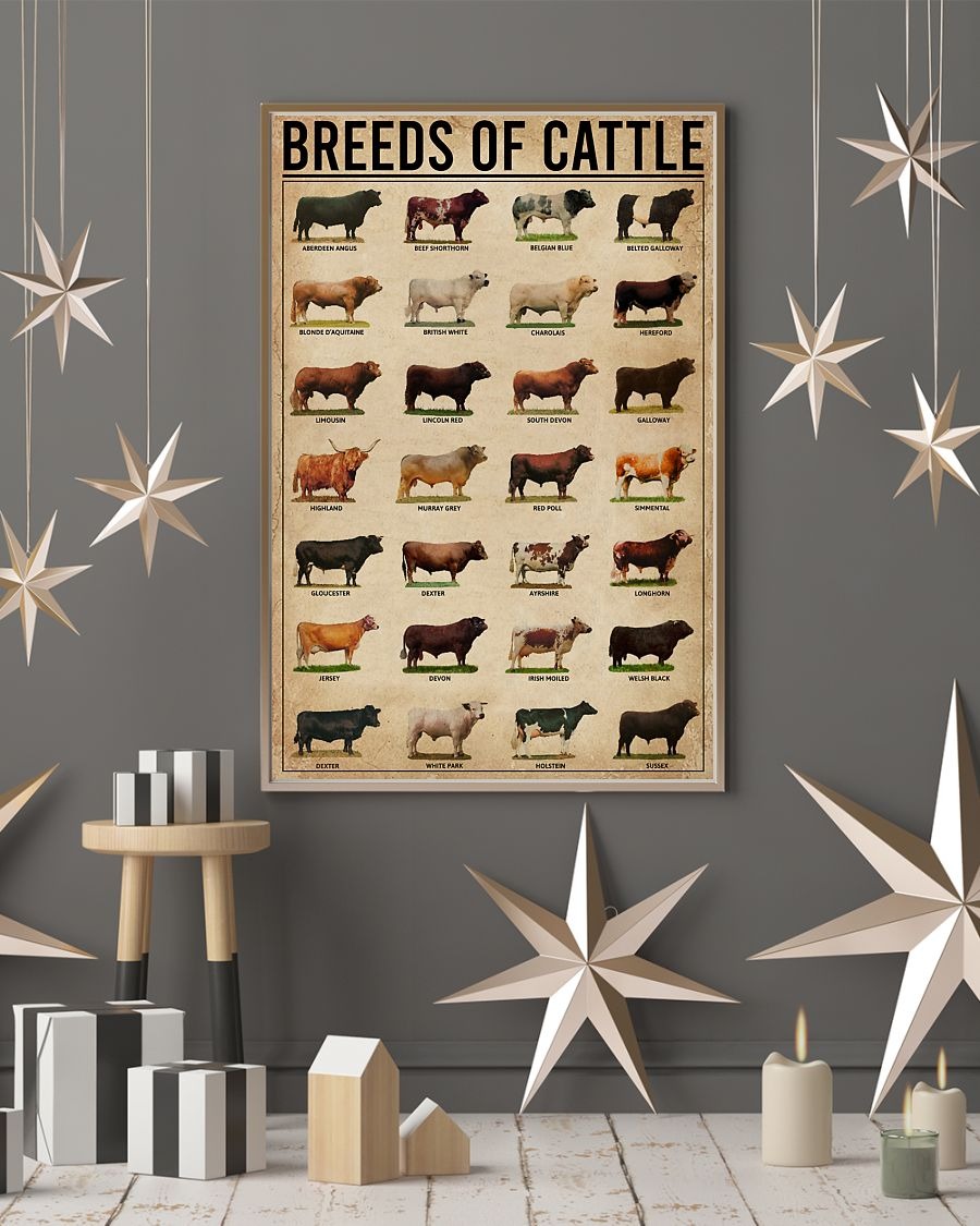 Breeds of cattle poster 8