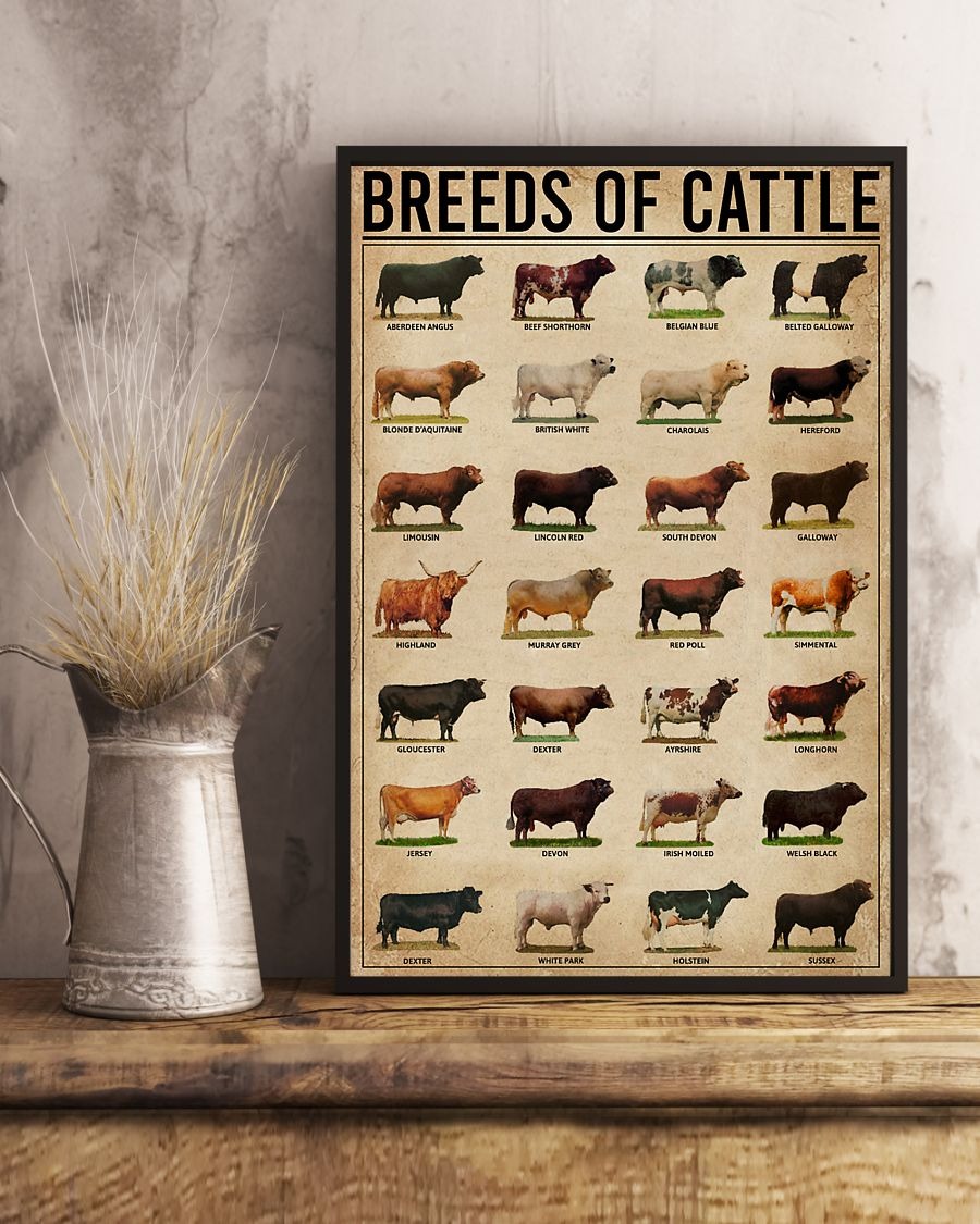 Breeds of cattle poster 6