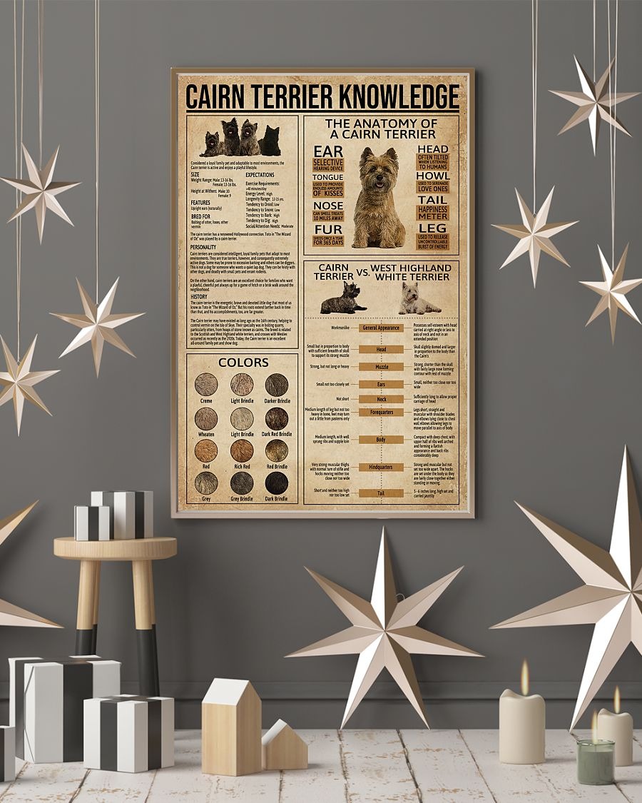Cairn terrier knowledge poster 3