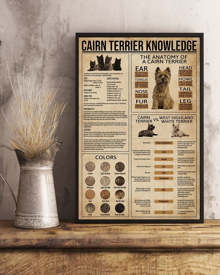 Cairn terrier knowledge poster 2