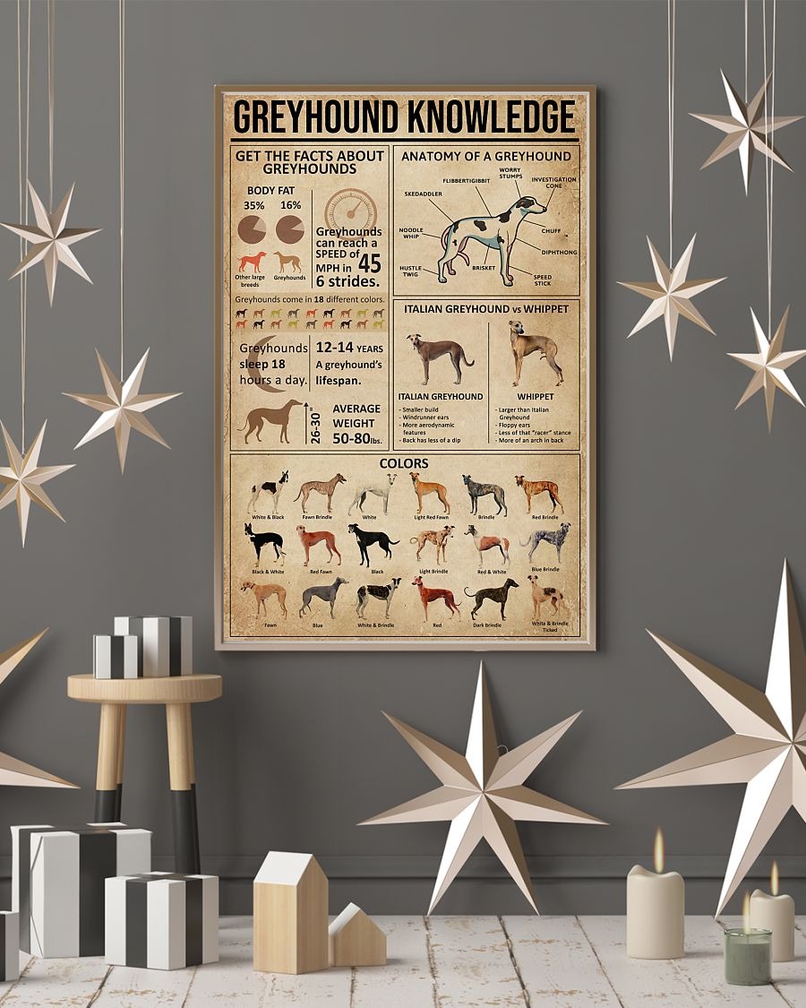 Greyhound knowledge poster 4