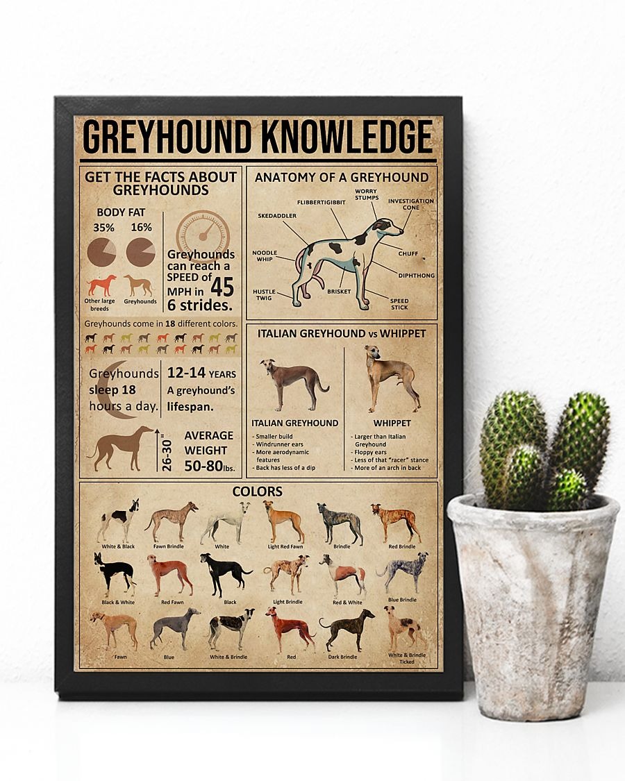 Greyhound knowledge poster 3
