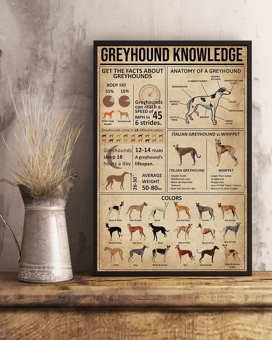 Greyhound knowledge poster 2