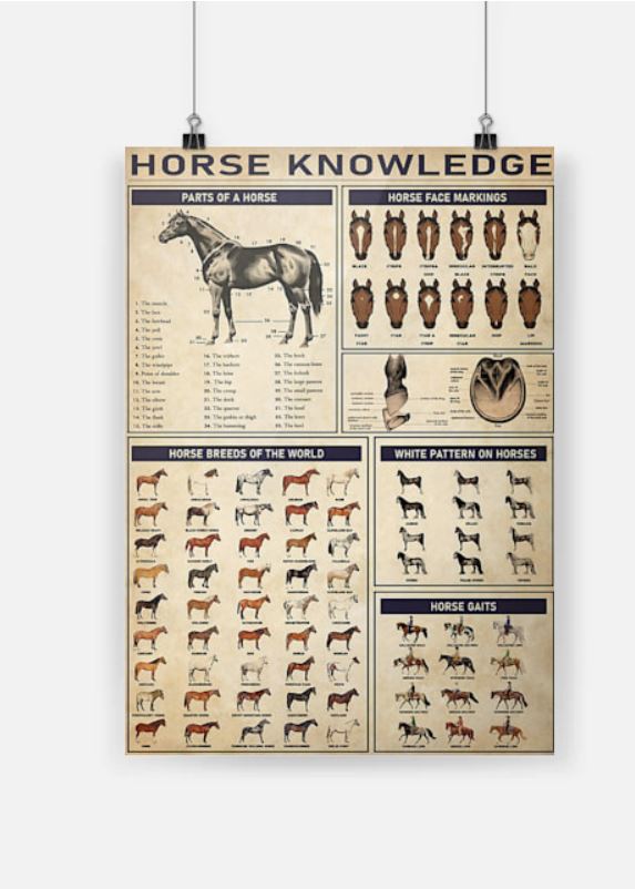 Horse knowledge poster 1