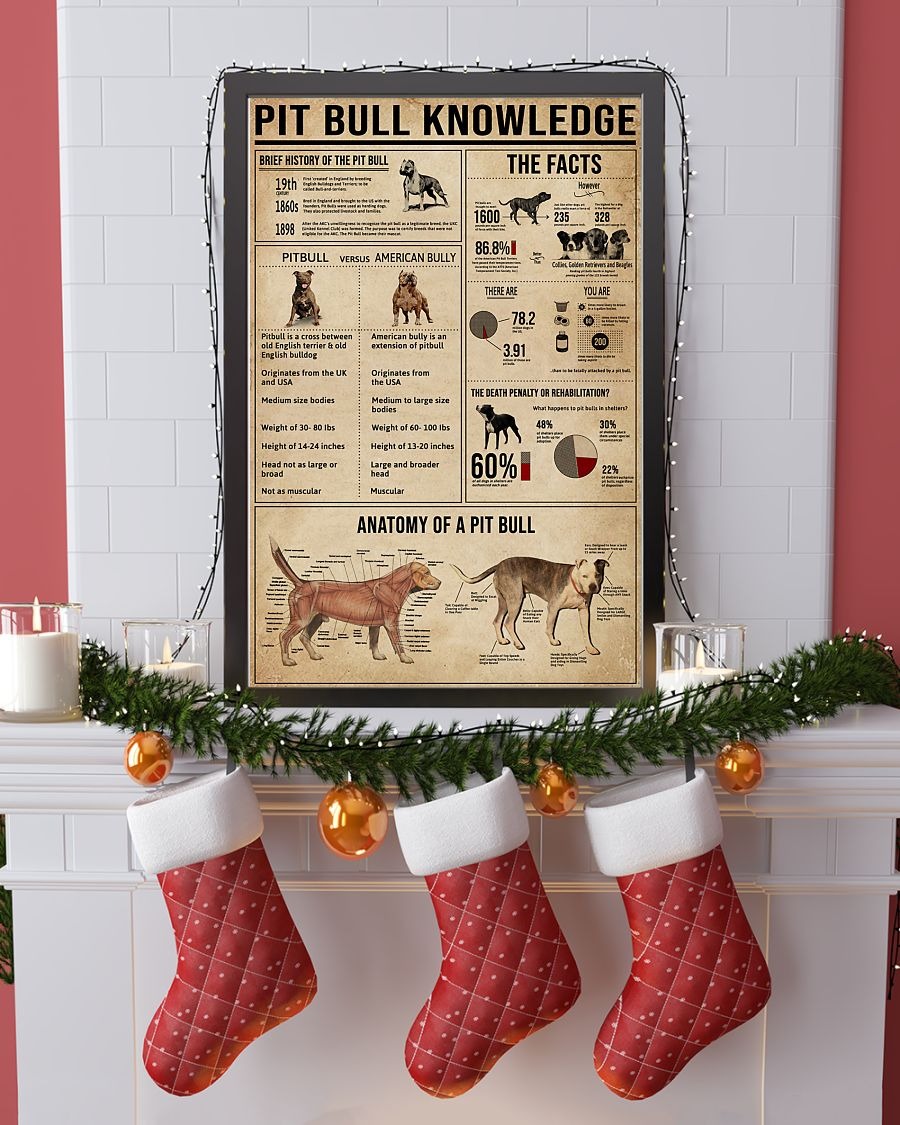 Pitbull knowledge poster 4