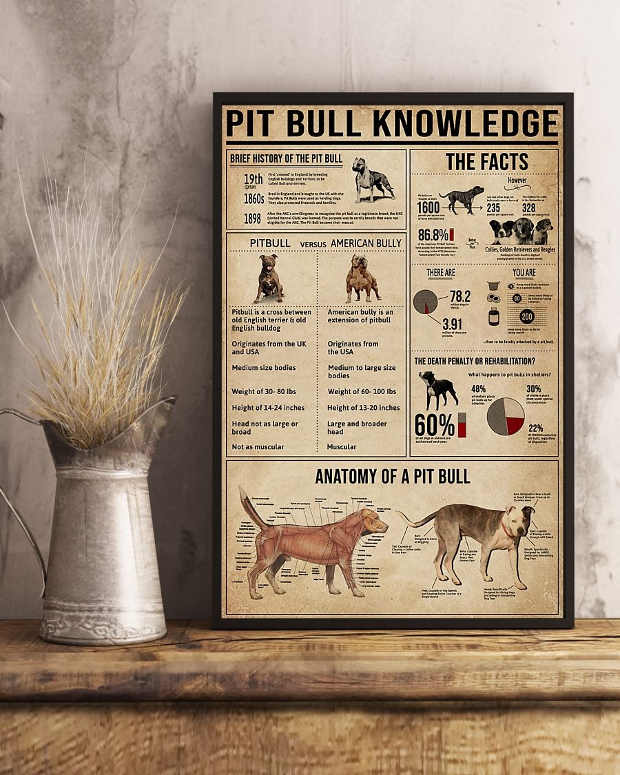 Pitbull knowledge poster 2