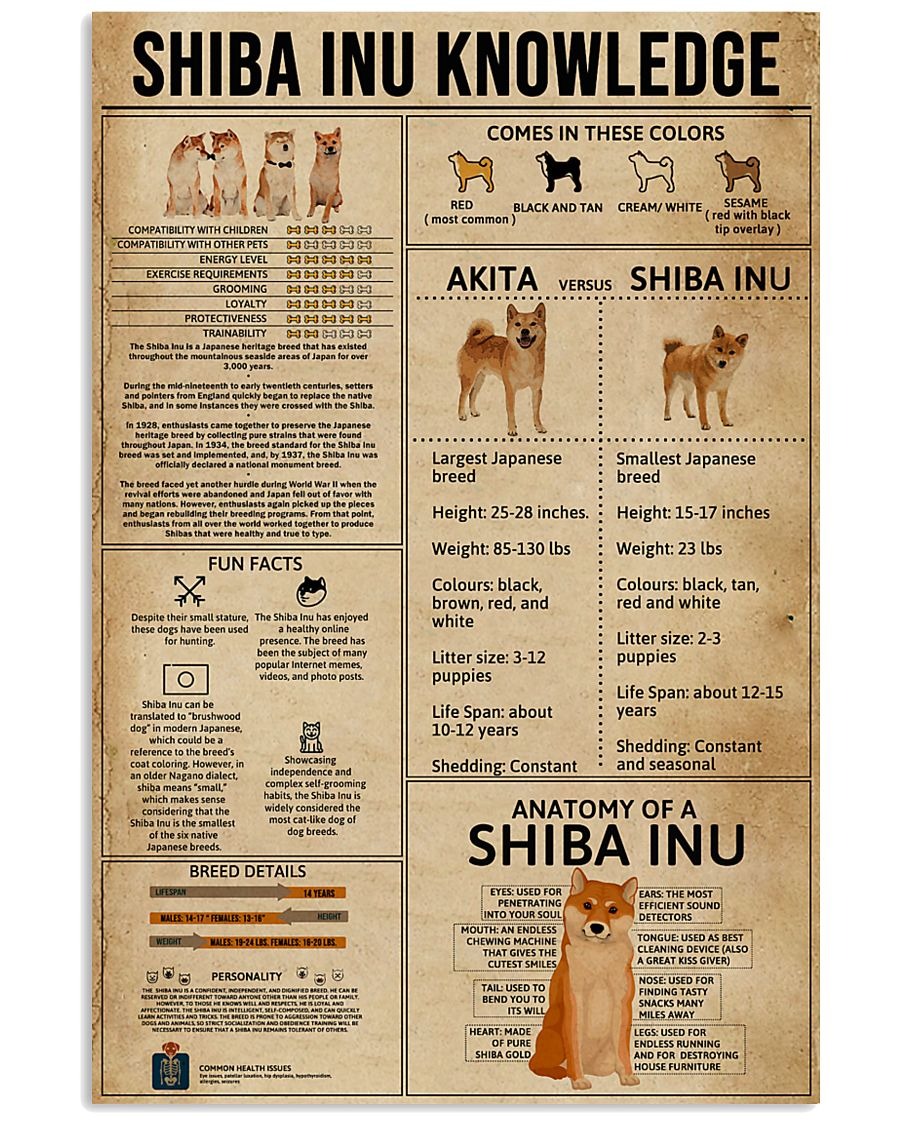 Shiba inu knowledge poster 1