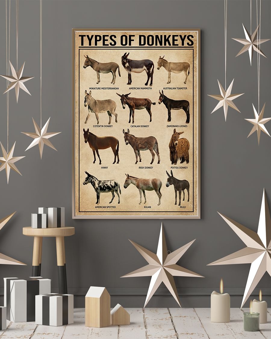 Types of donkeys poster 4