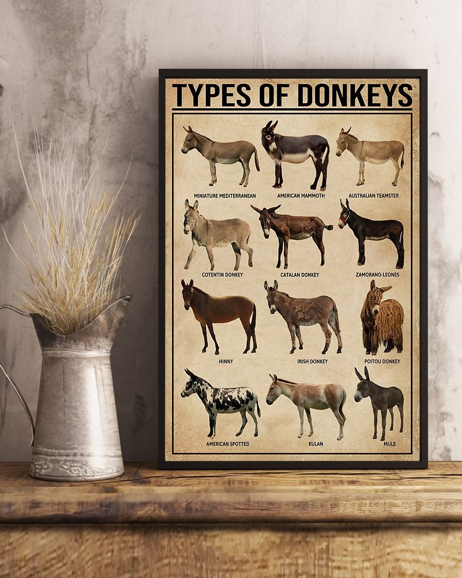 Types of donkeys poster 2