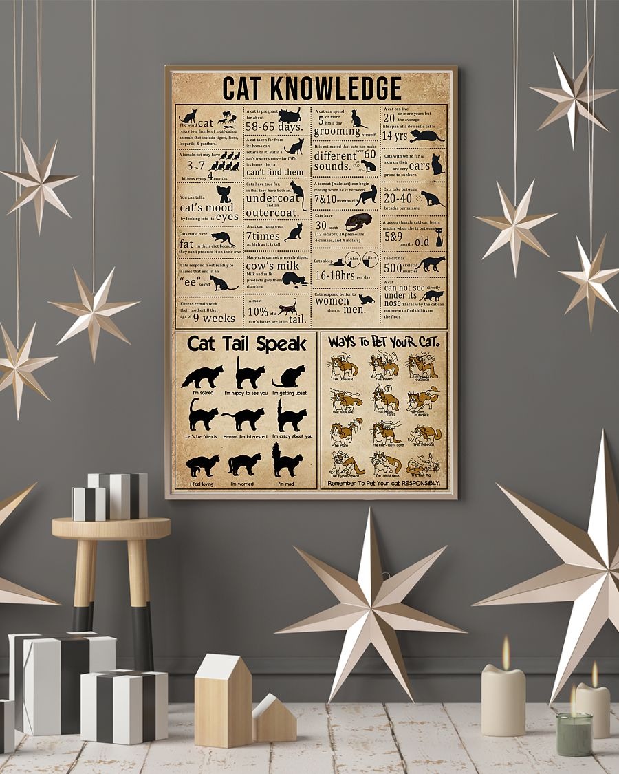 Cat knowledge poster 4