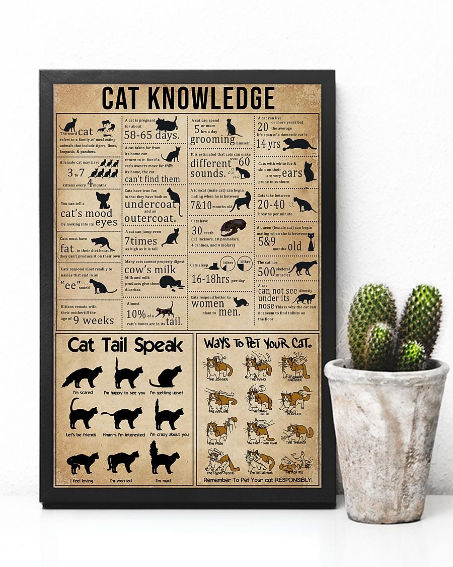 Cat knowledge poster 3