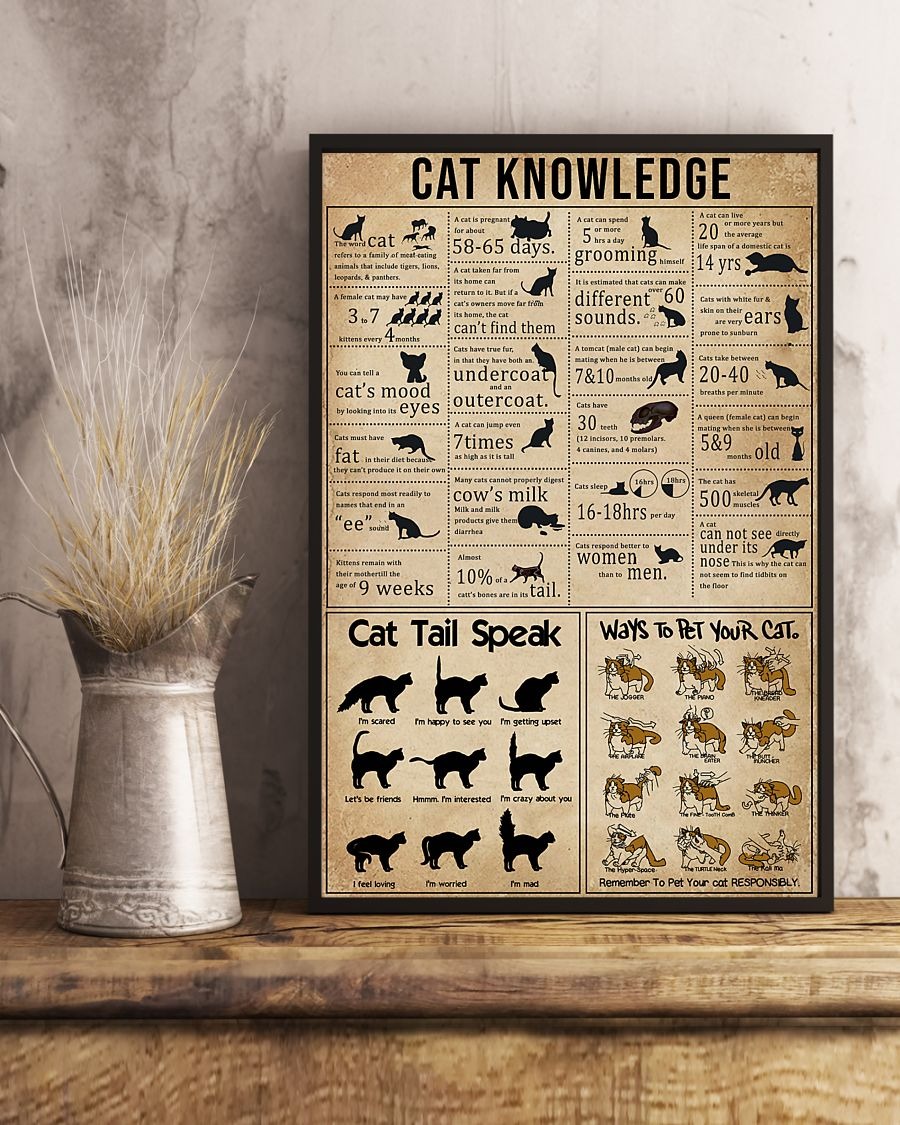 Cat knowledge poster 2