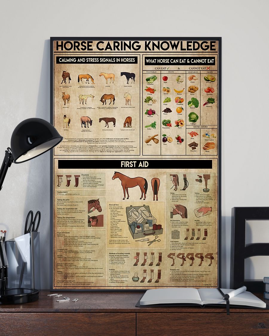 Horse Caring Knowledge poster 8
