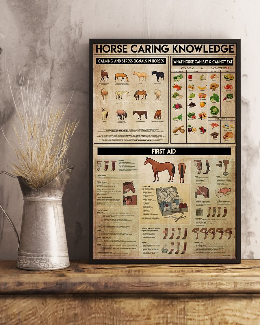 Horse Caring Knowledge poster 7