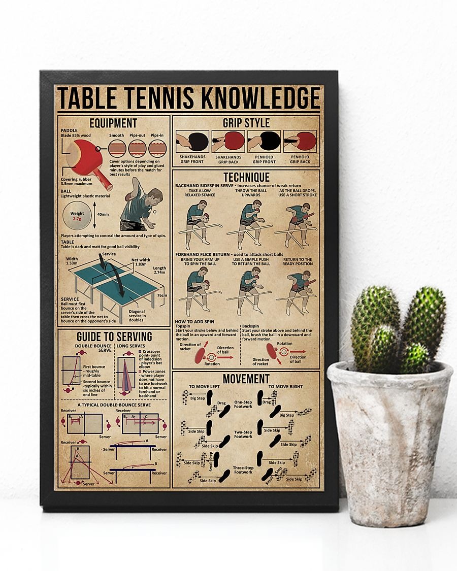 Table Tennis knowledge poster 3