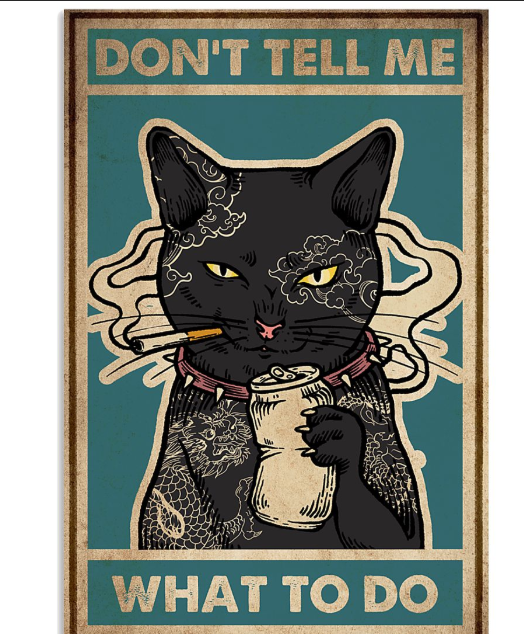 Cat Don't tell me what to do poster 9