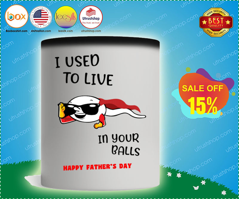 Father's day I used to live in your balls happy mug 2