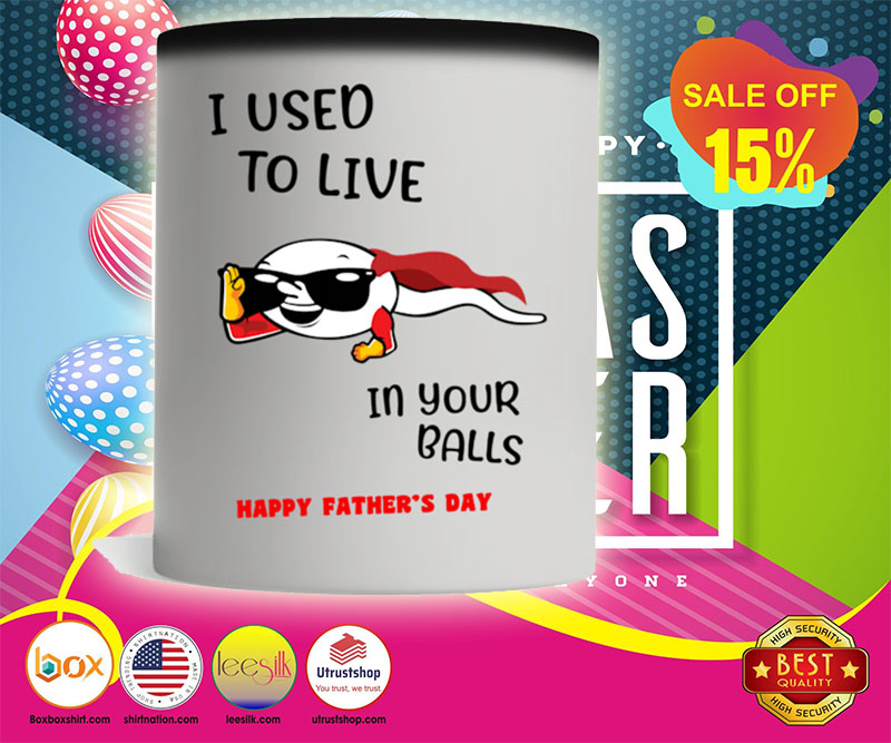 Father's day I used to live in your balls happy mug 4