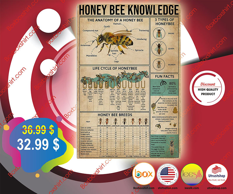 Honey bee knowledge poster 9