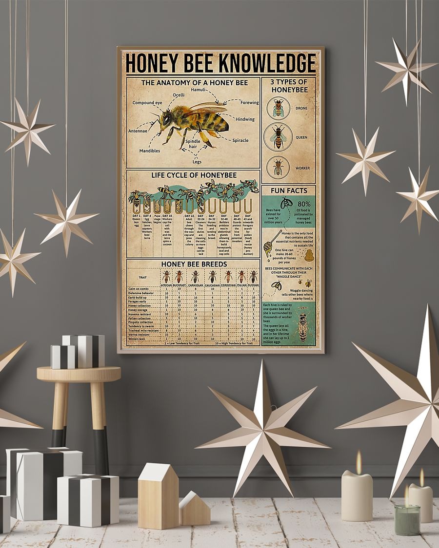 Honey bee knowledge poster 7
