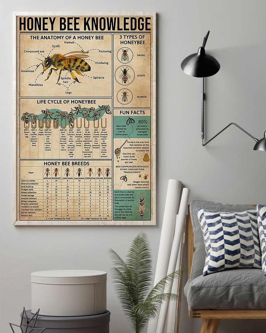 Honey bee knowledge poster 1