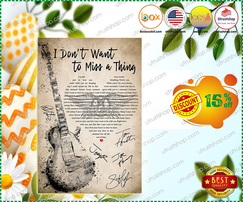 Guitar I don't want to miss a thing lyrics poster 6