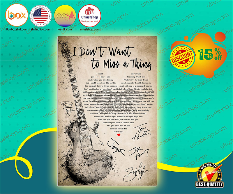 Guitar I don't want to miss a thing lyrics poster 7
