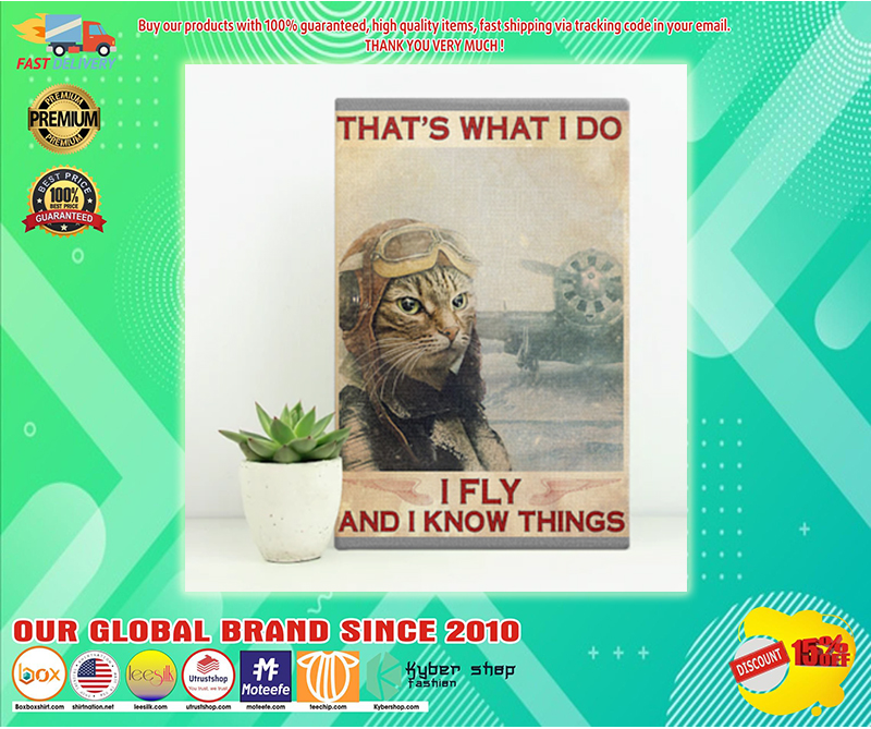 Cat That's what  I do I fly and I know things poster
