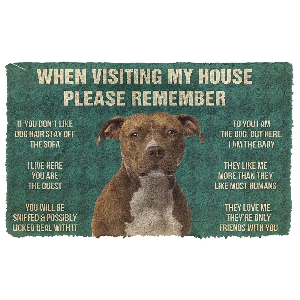 When visiting my house please remember terrier dog doormat 2