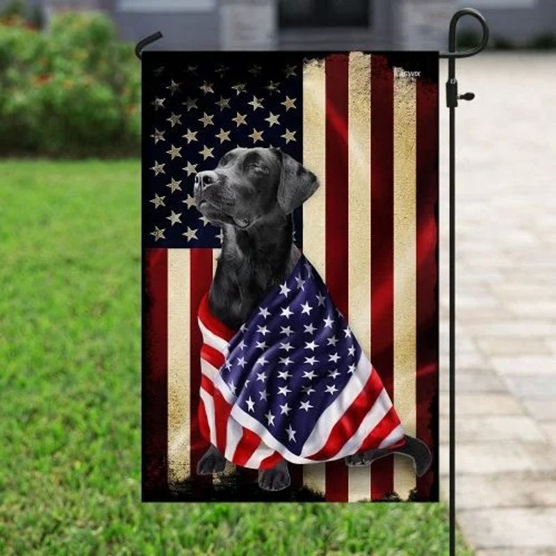 Black labrador retriever american patriot flag 4