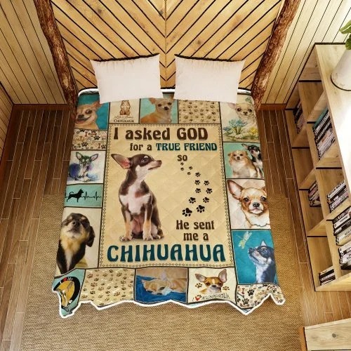 I asked god for a true friend so he sent me a chihuahua blanket 4