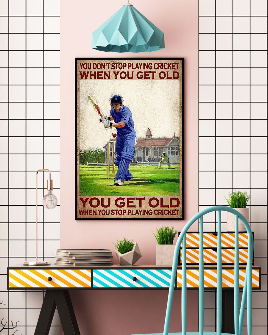 You dont stop playing cricket when you get old poster3