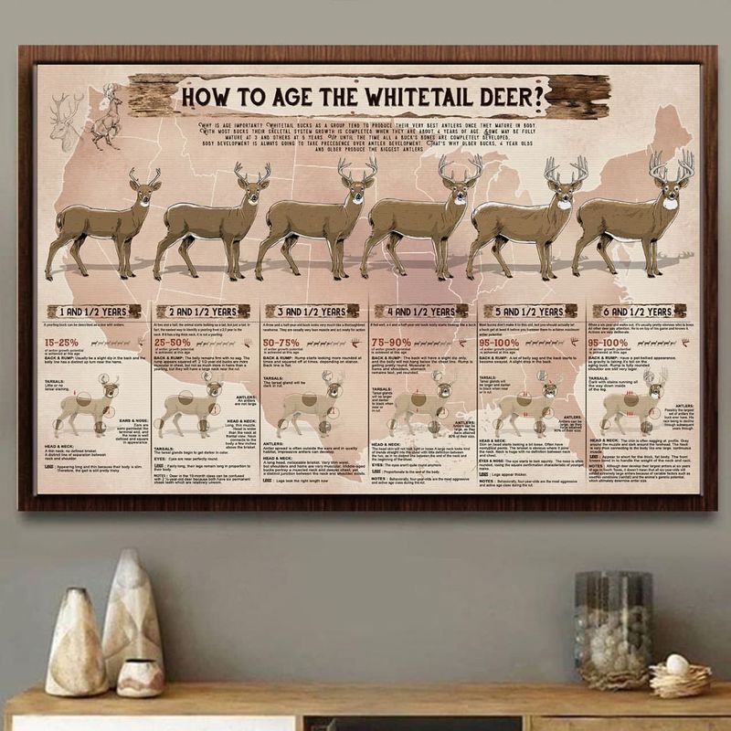 NEW HOW TO AGE THE WHITETAIL DEER Canvas