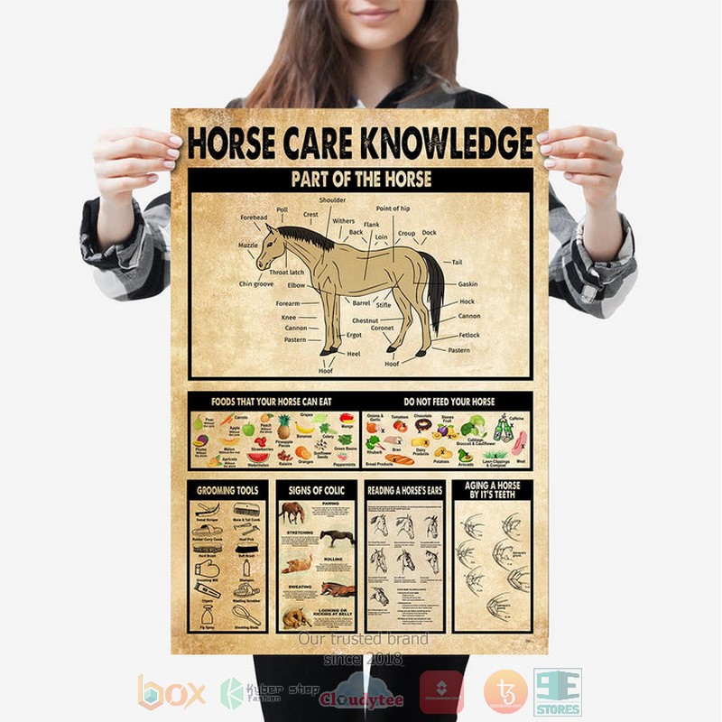 Horse_Care_Knowledge_Parts_Of_The_Horse_Poster